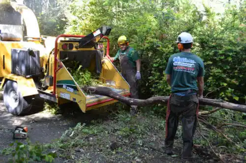 tree services Craig